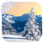 Logo of Winter Live Wallpaper android Application 